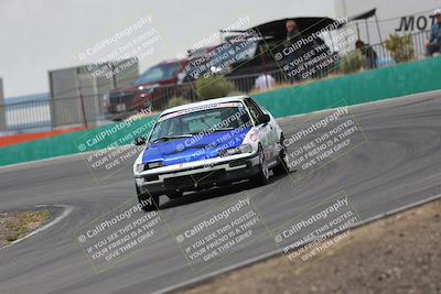 media/May-03-2025-Lucky Dog Racing (Sat) [[206de64b9d]]/Turn 4 B (1150am-130pm)/